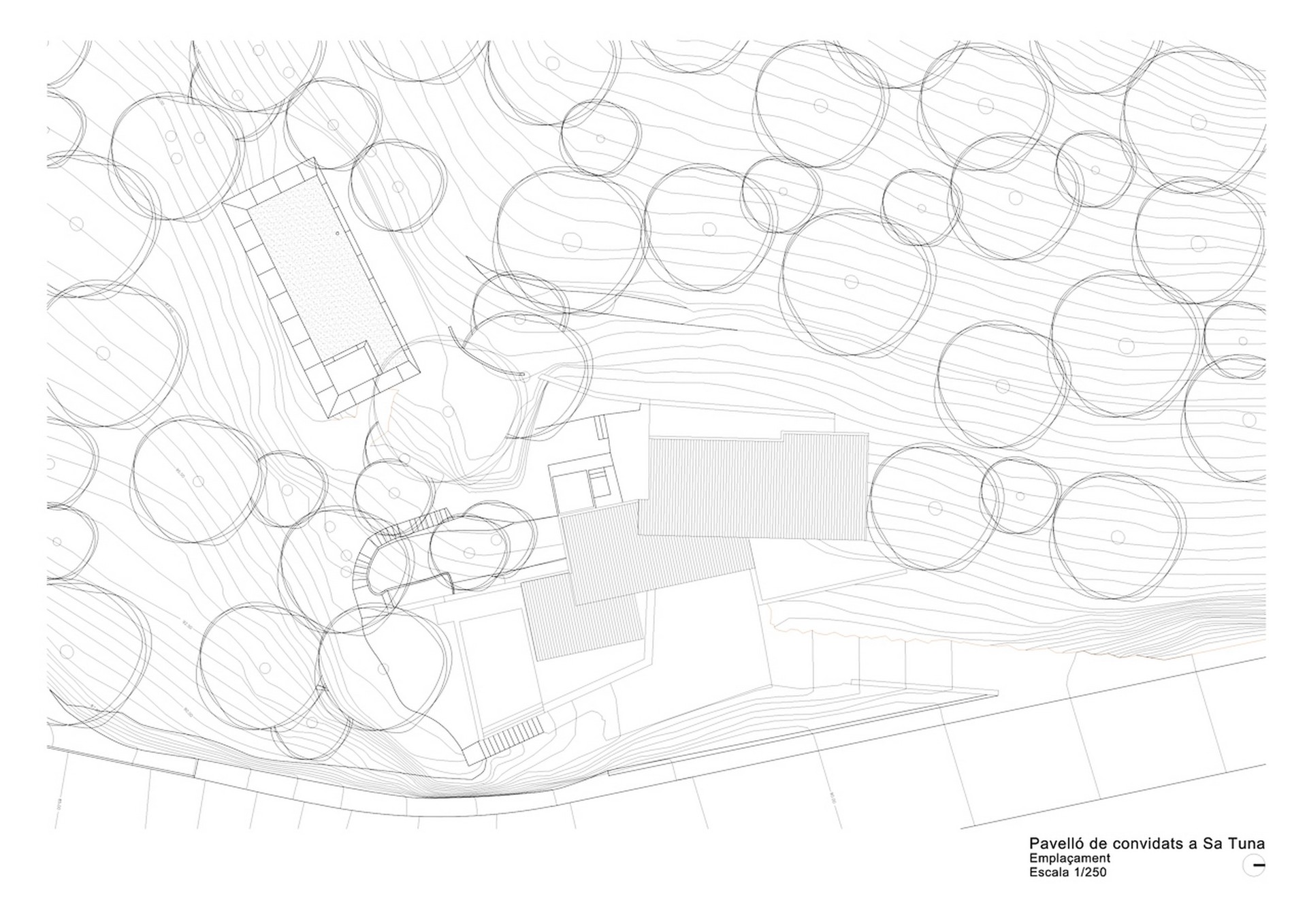 site_plan_14.JPG