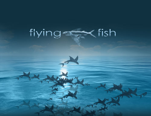 flying fish.jpg