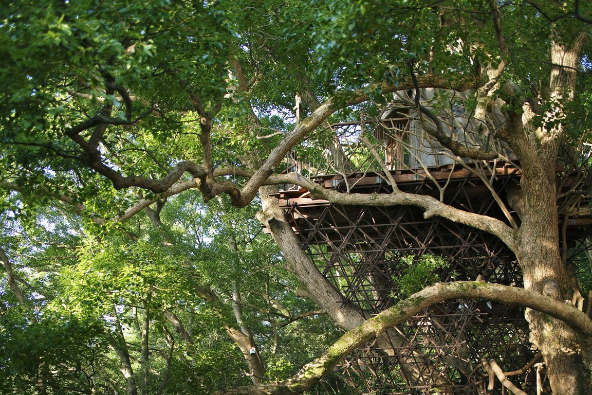 treehouse_002.jpg