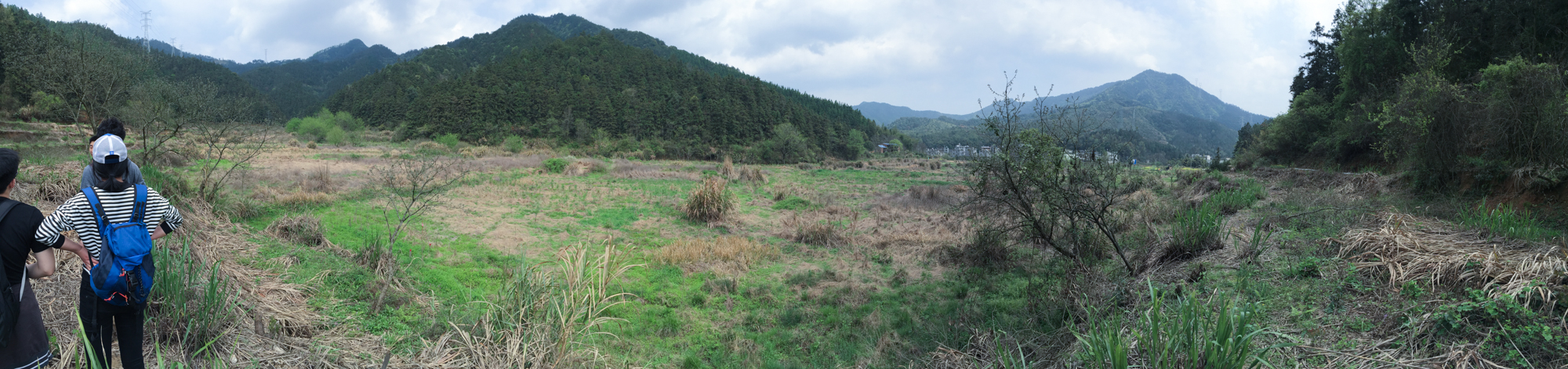 西朝坞山谷中的一块野地 A piece of wild land in the valley of Xichaowu _.jpg