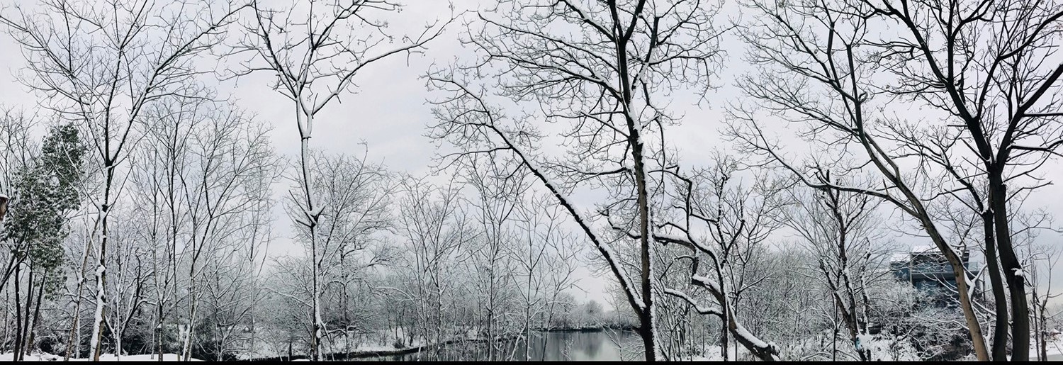 雪景-芥末.jpg