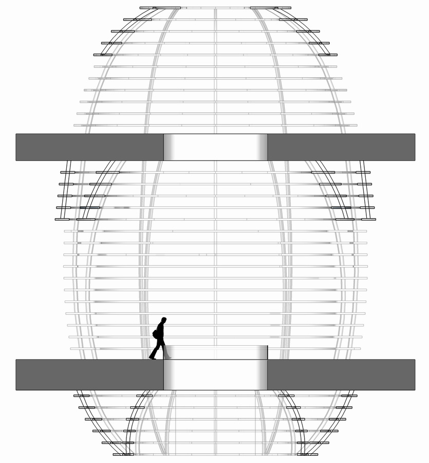 调整大小 Cocoon Model “蚕茧”模型 (2).jpg