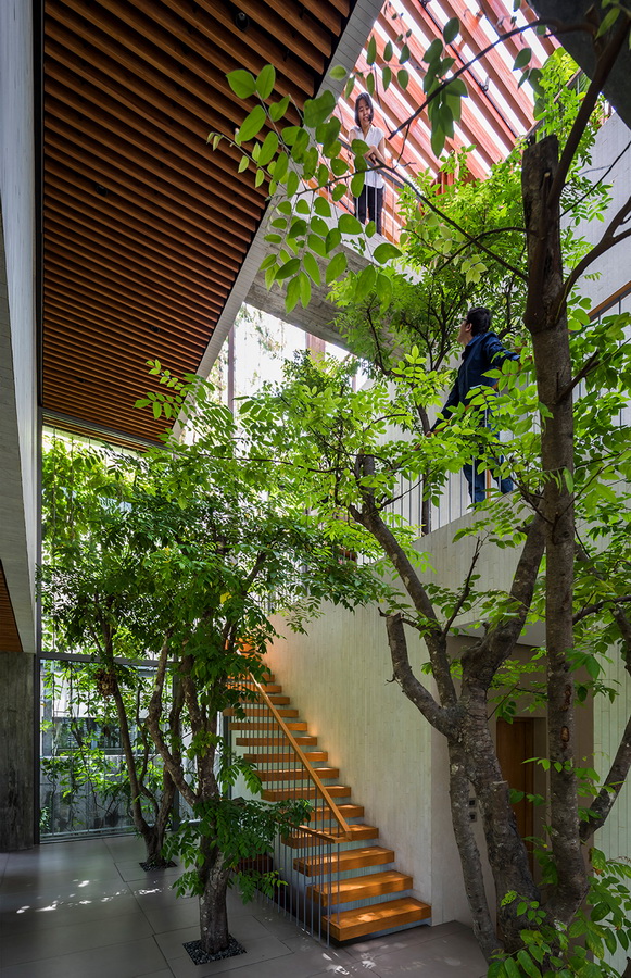 调整大小 stepping-park-house-vtn-architects-residential-architecture-vietnam_dezeen_1704_col_5-1.jpg