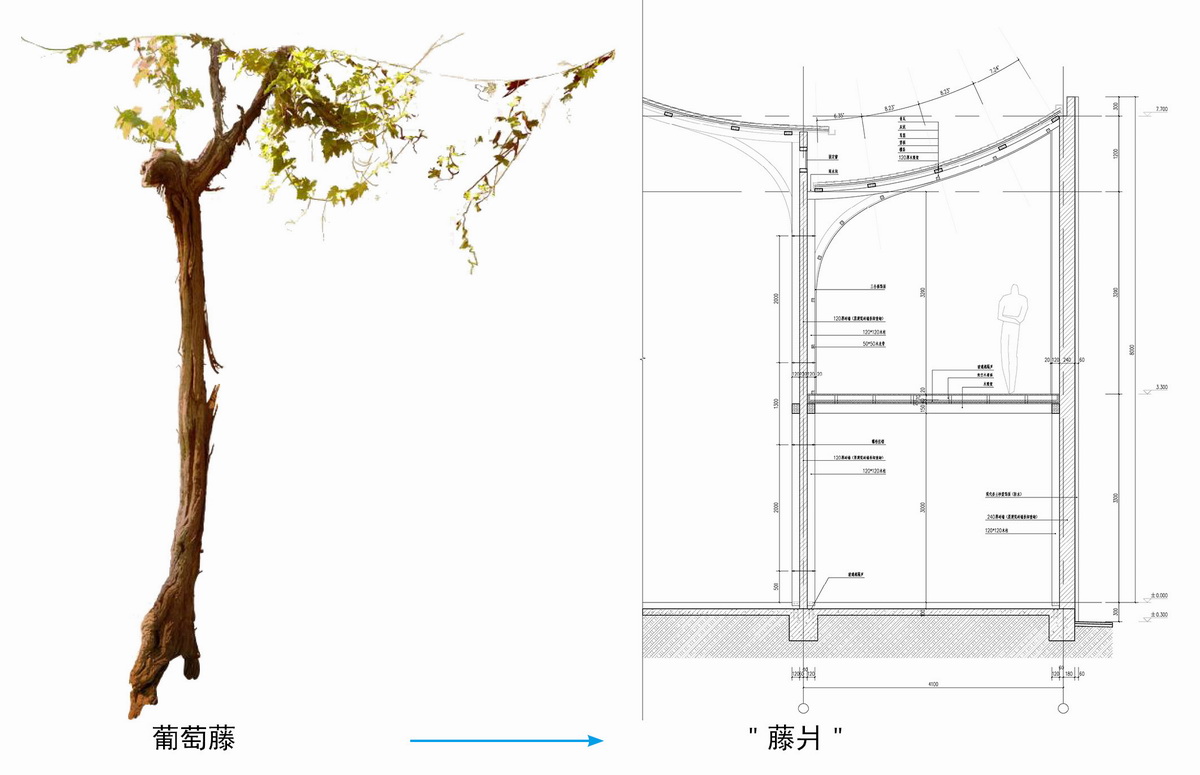 调整大小 10.jpg