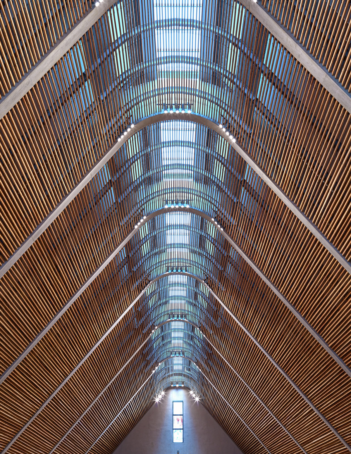 l1_Detail_of_the_Cathedral's_ceiling_-.Edmund_Sumner.jpg