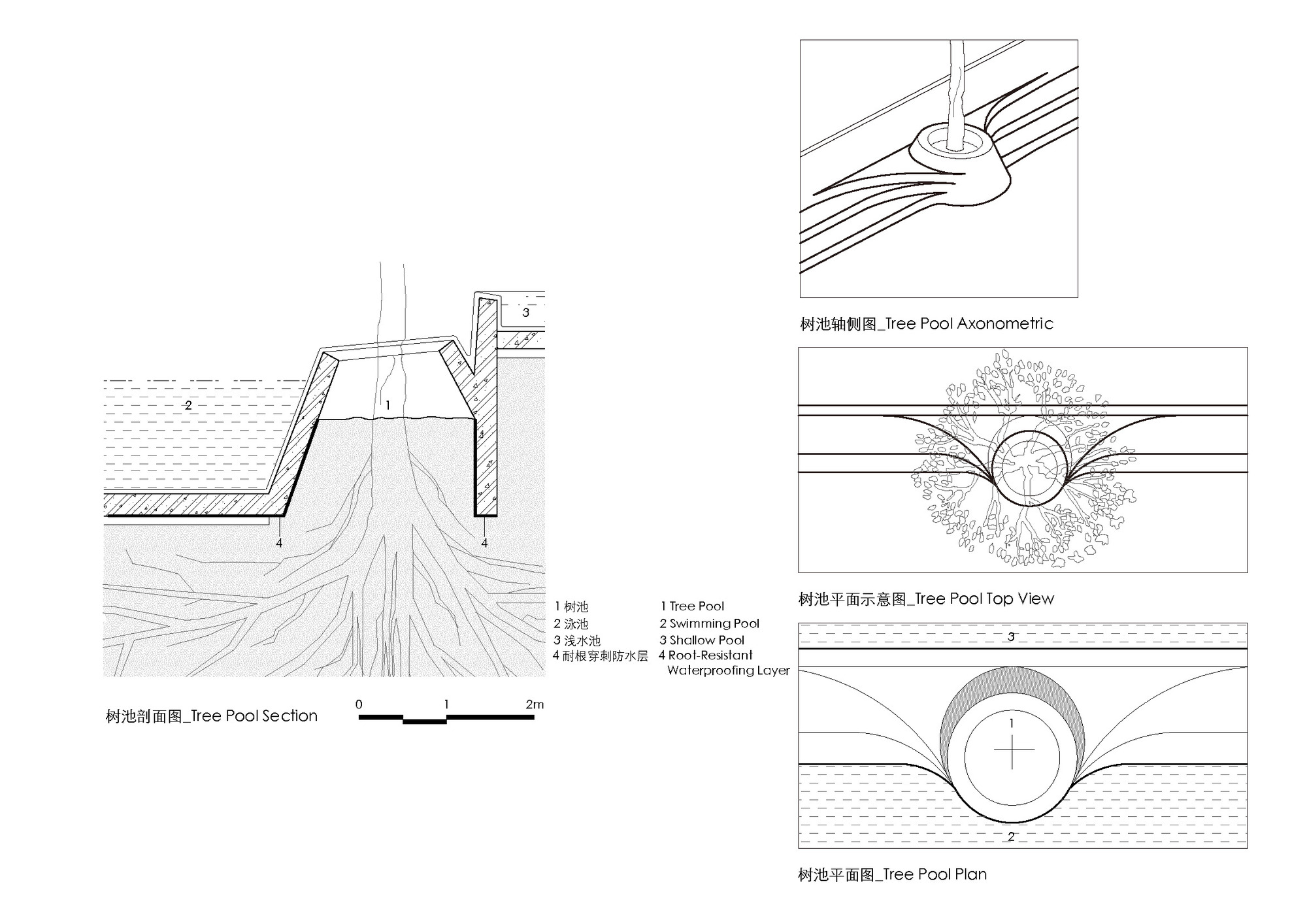 s12 _Tree_Pool_Detail_树池细节图.jpg