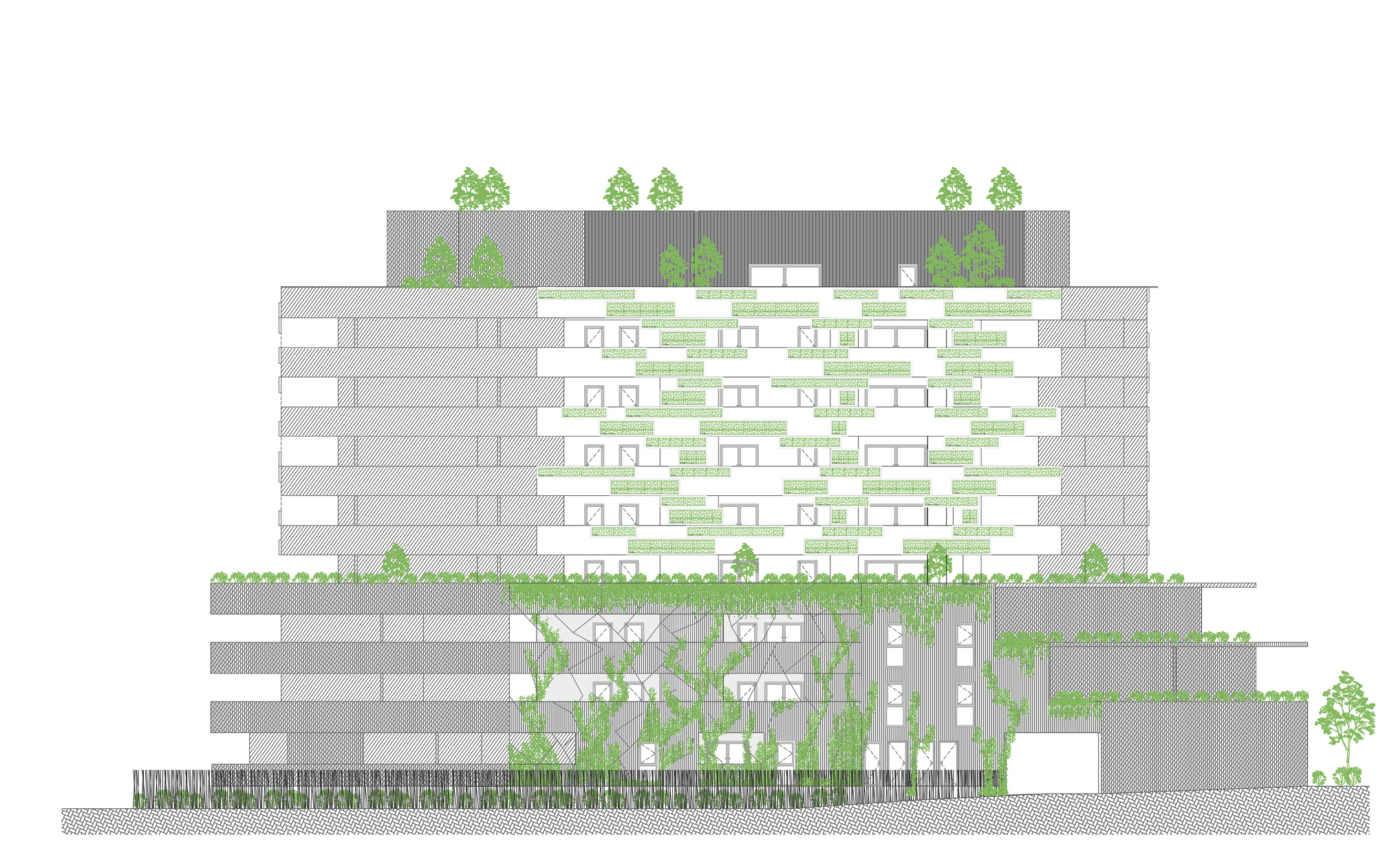 1 _IPARK-ARCH-17_ELEVATION_NORD2.jpg