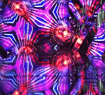 24.gif
