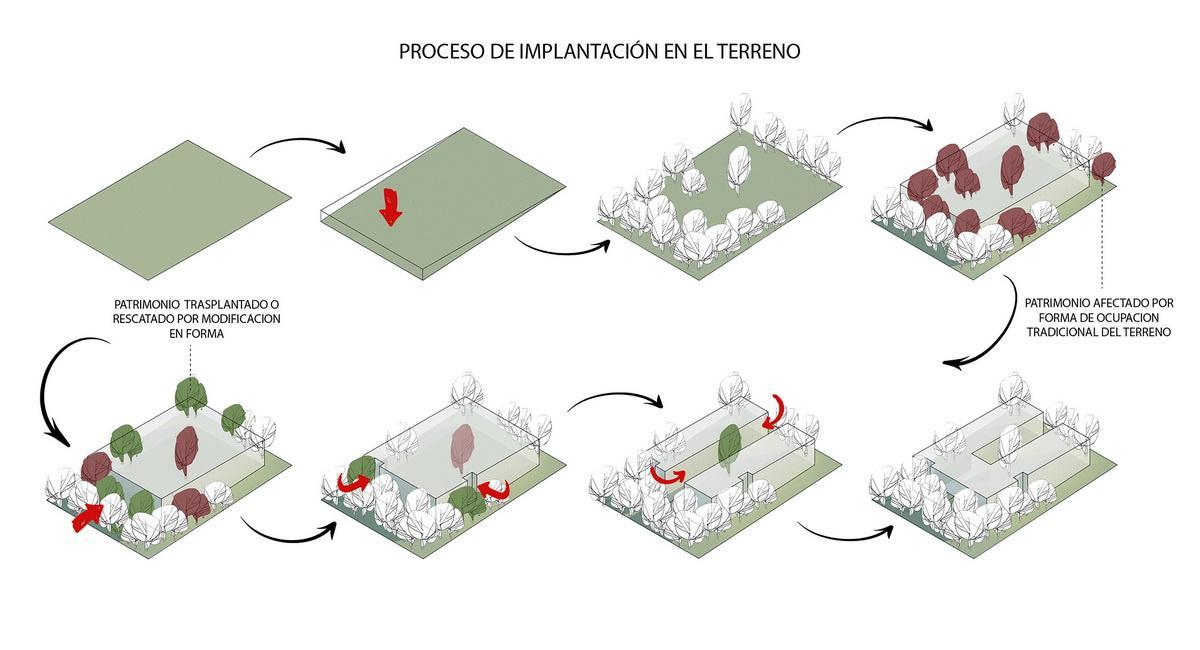 m9 植物种植分析 -Proceso-de-Implantacion_调整大小.jpg