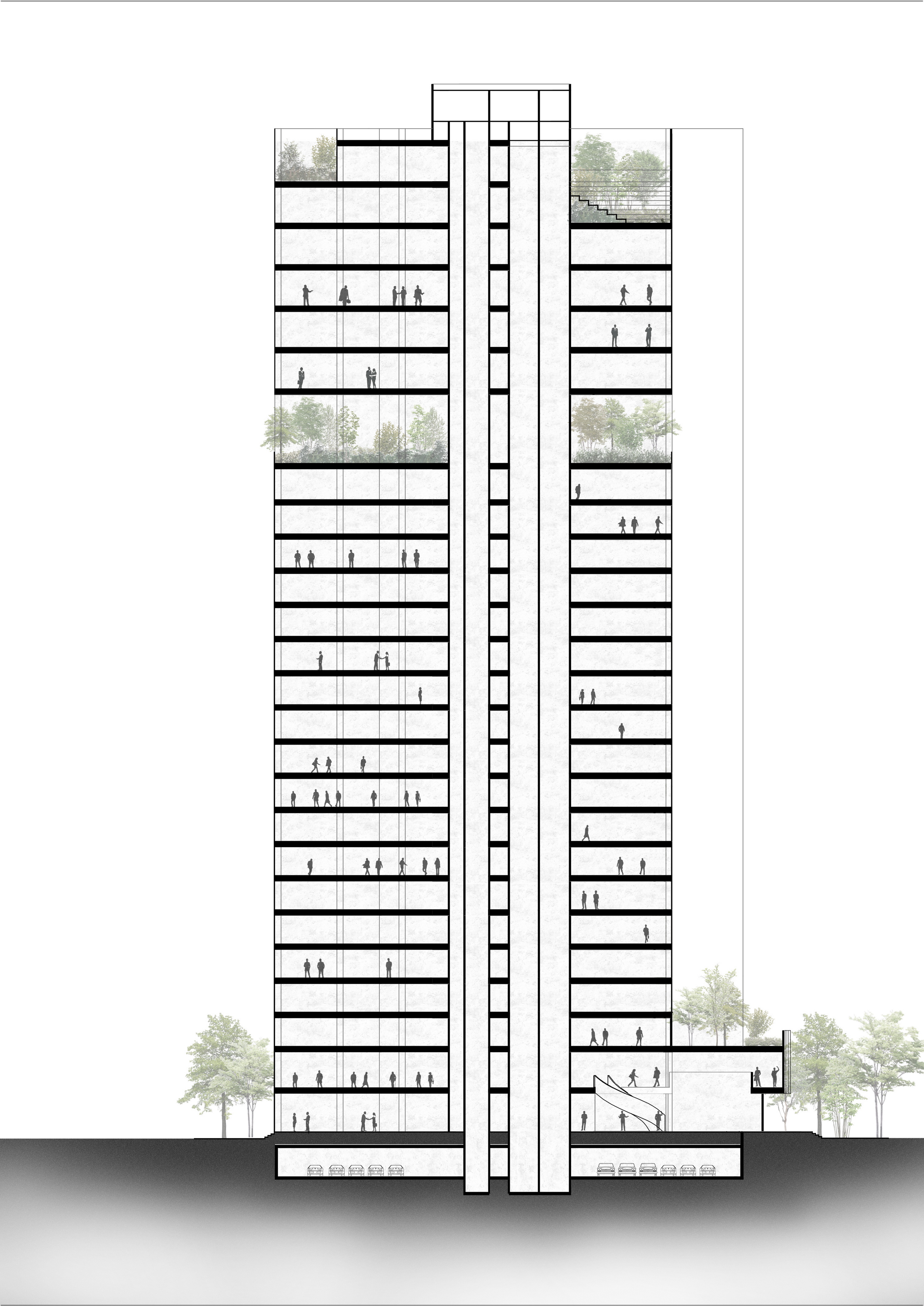 m8 剖面图_调整大小.jpg