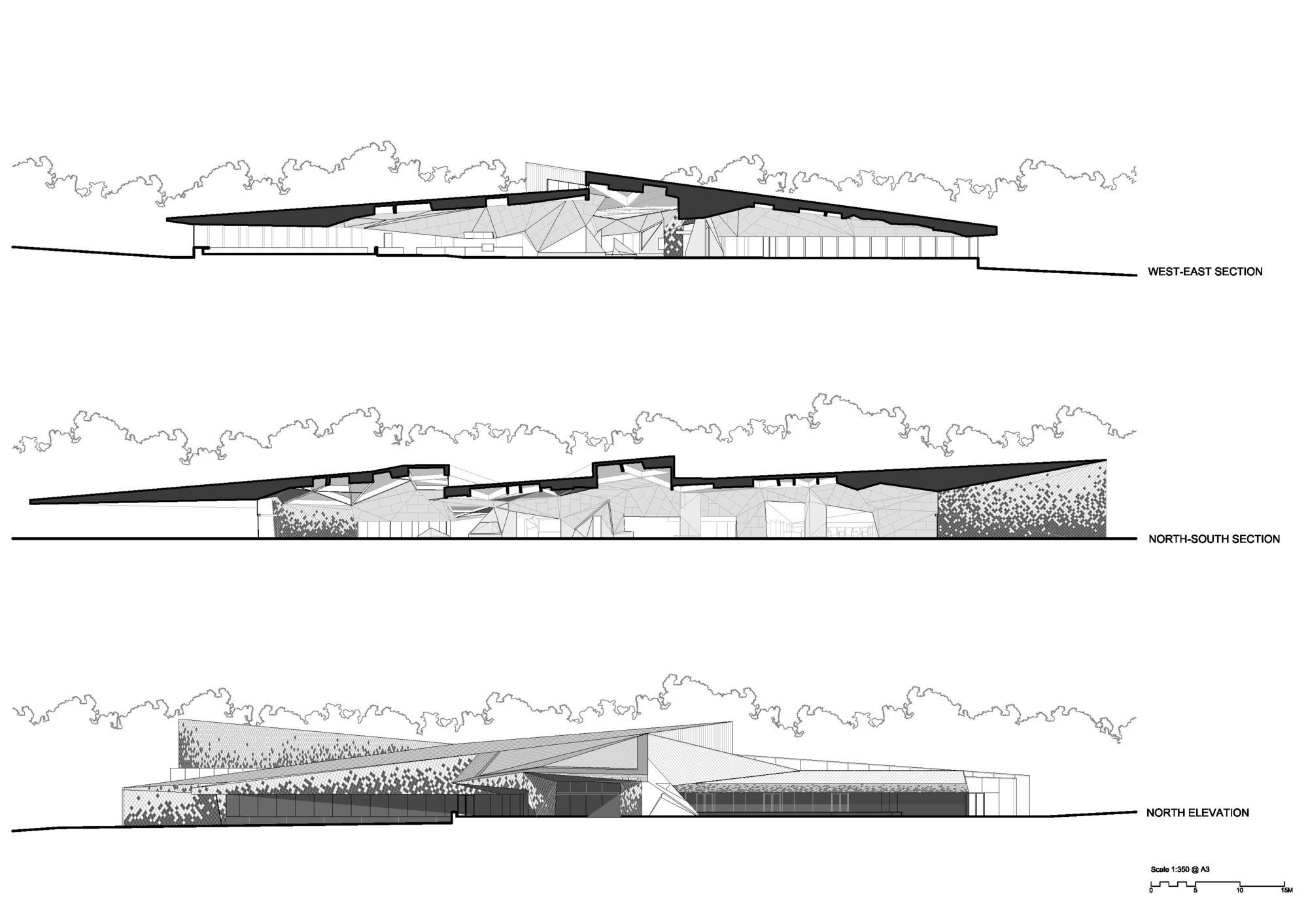 m4 _Penguin_Parade_Terroir_Sections.jpg