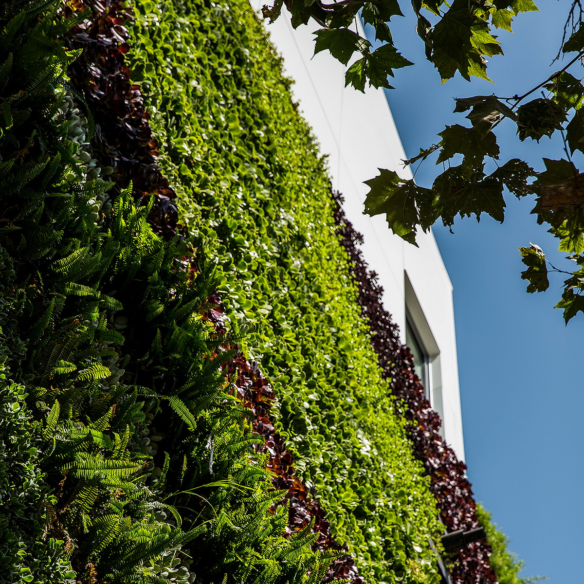 e1 _MAD_Gardenhouse_Green Wall_photo by Manolo Langis_调整大小.jpg