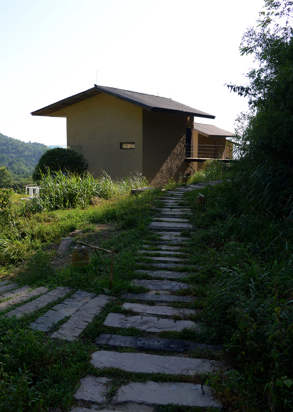 s1 步道采用砧木和石条铺设（摄影：何崴）Trail is paved with rootstocks and stone strips (Photo by He Wei)_调整大小.jpg