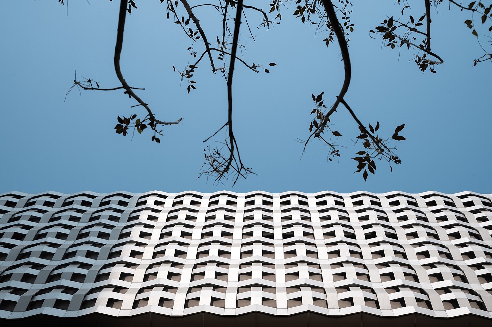 22 表皮细部 Detail of facade.jpg