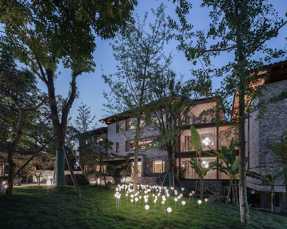 11.傍晚银杏林看向民宿The residence viewed from the ginkgo wood at dusk.jpg