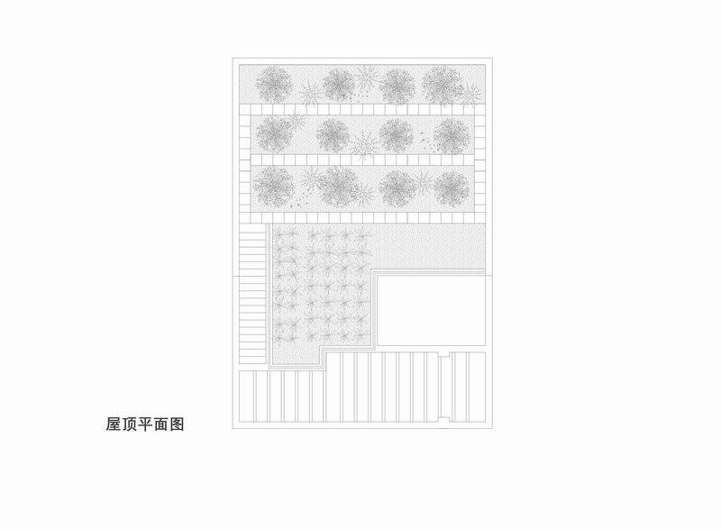 登上福布斯的建筑师，用70w造出400平的“梯田之家” / 丰间建筑事务所