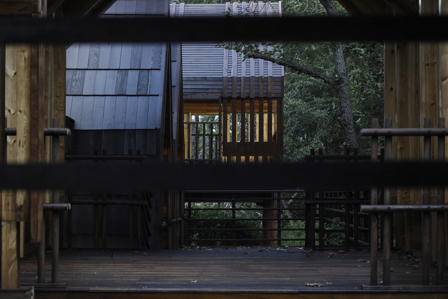 调整大小 丛林与木屋，Jungle and wooden house. by 徐英达，黄迪.jpg