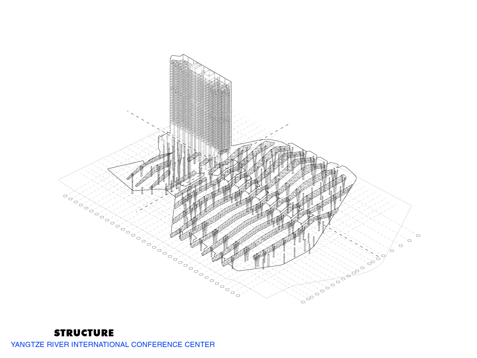 NCC_DI_STRUCTURE DIAGRAMS_w.jpg