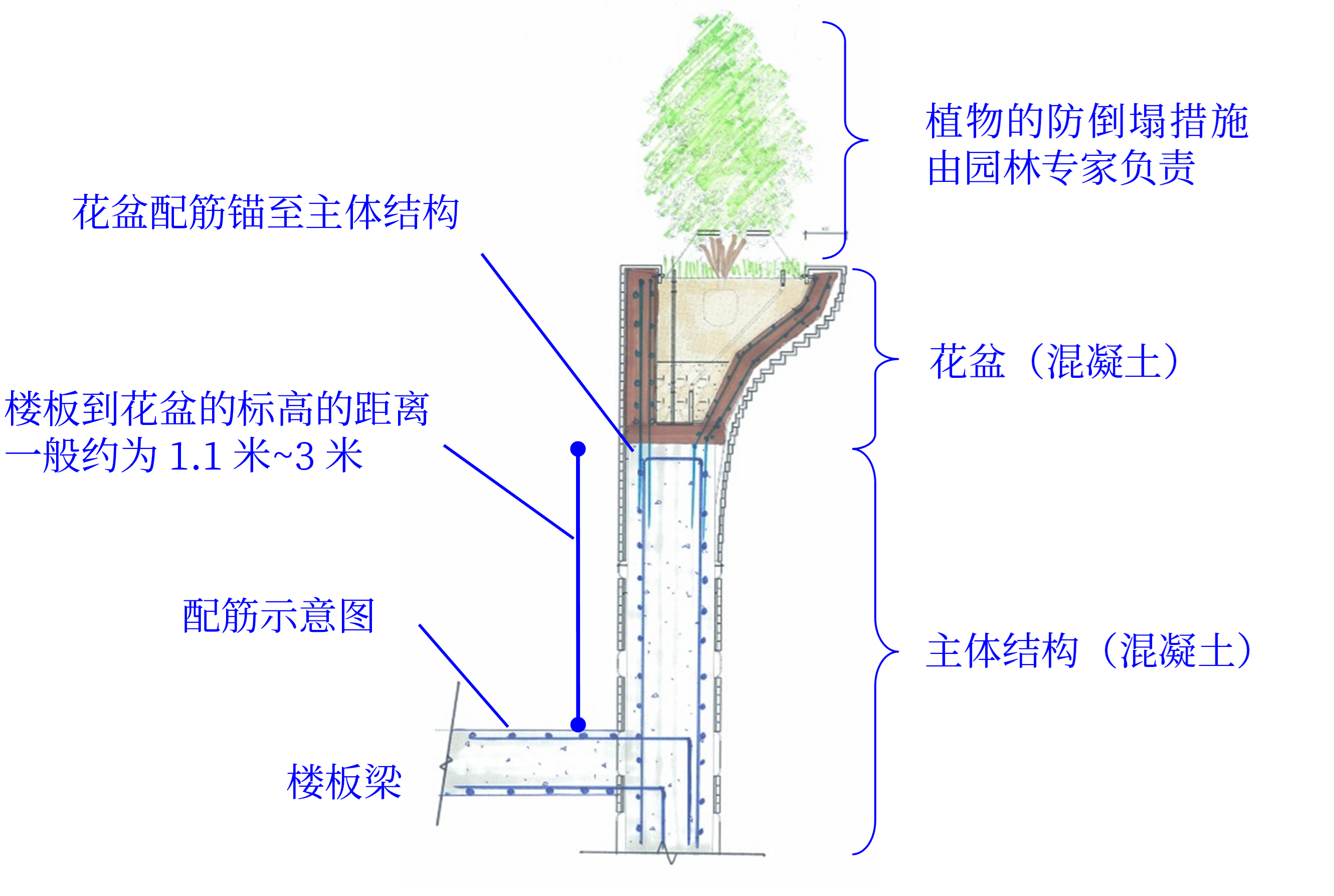 花盆与结构关系_(c) Arup.png