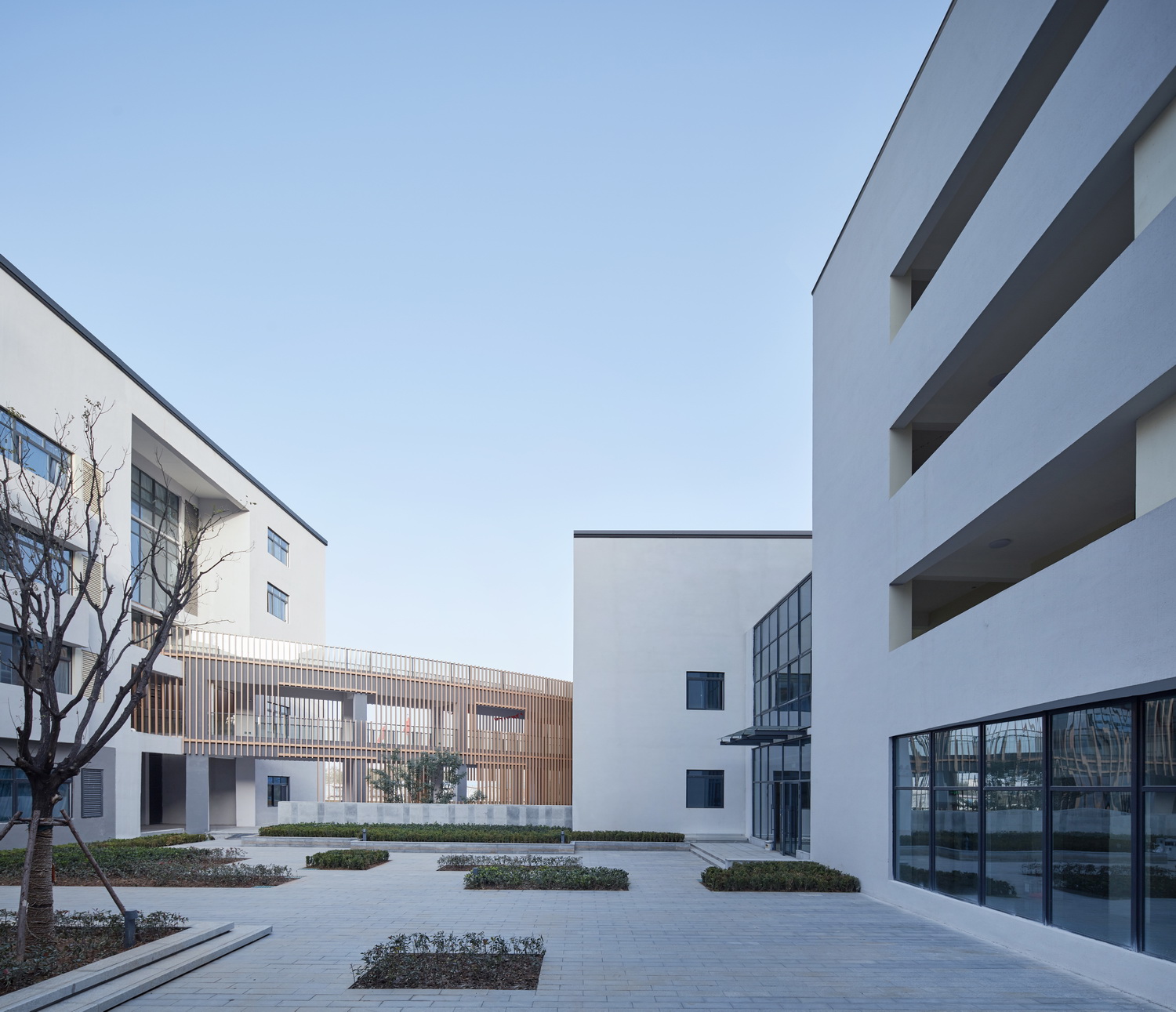 调整大小 初中部庭院-Junior high school courtyard-夏强.jpg