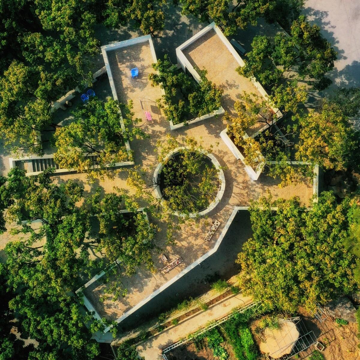 龙眼树下的院子 / 在场建筑