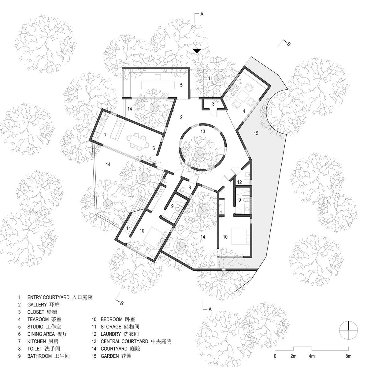 龙眼树下的院子 / 在场建筑