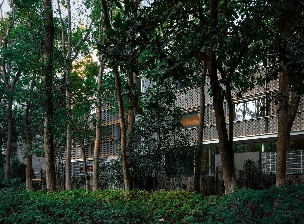 南京鼓楼锦上 OCC 餐厅 / BUZZ 建筑事务所