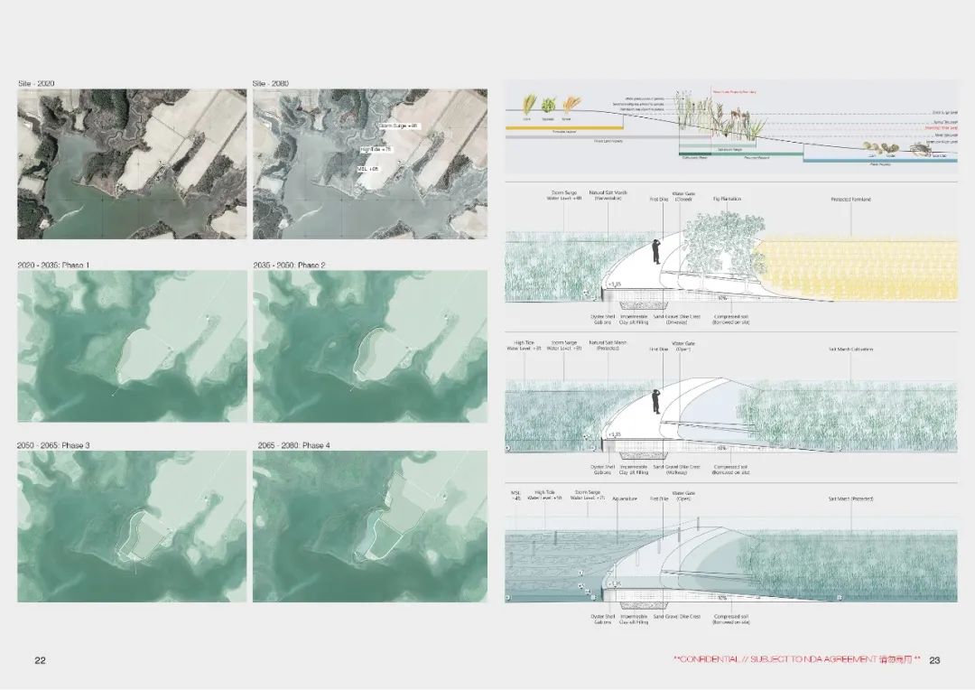 从港大到哈佛，RIOS的90后女建筑师张曈曈专访｜
 Archcollege ｜建世界03