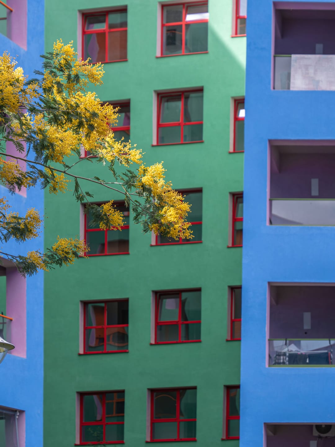 Mangalem 21 住宅区 / OMA + Kontakt.Ltd