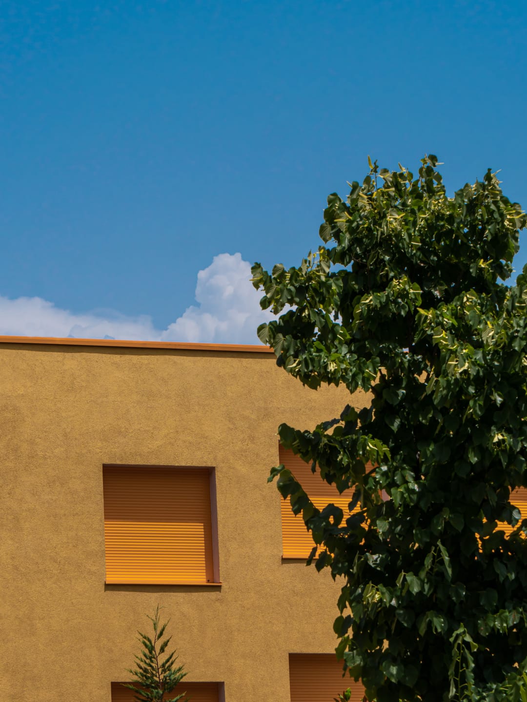 Mangalem 21 住宅区 / OMA + Kontakt.Ltd